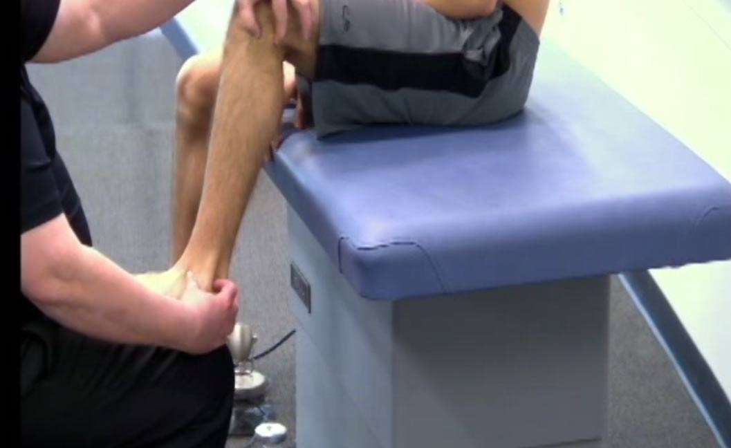 101. Anne Wales Inner Osseus Membrane