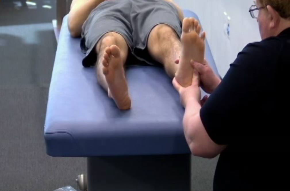 102. Anne Wales Outer Longituidinal Arch Cuboid