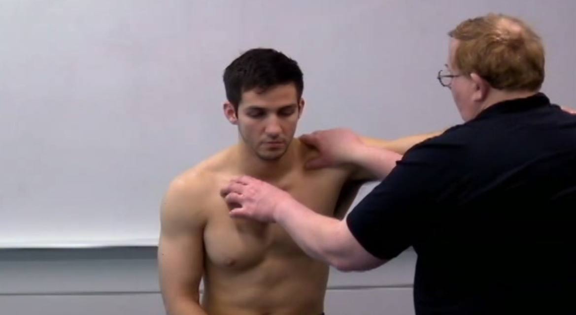 107. Sutherlands - Clavicle