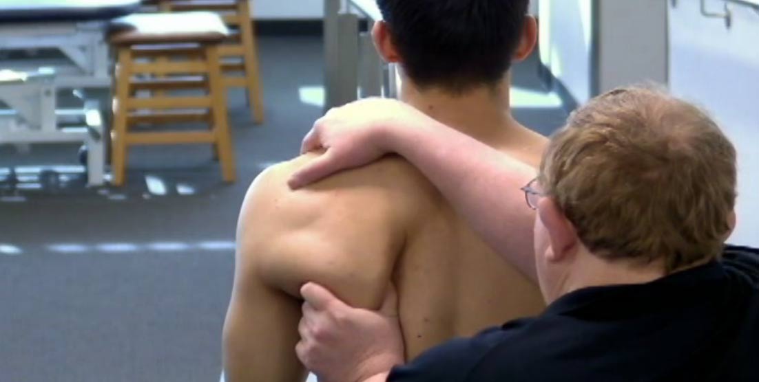 116. Anne Wales Scapula