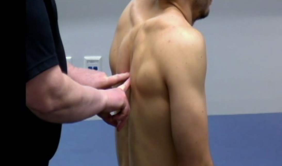 29. Sutherlands Thoracic palpation for diagnosis