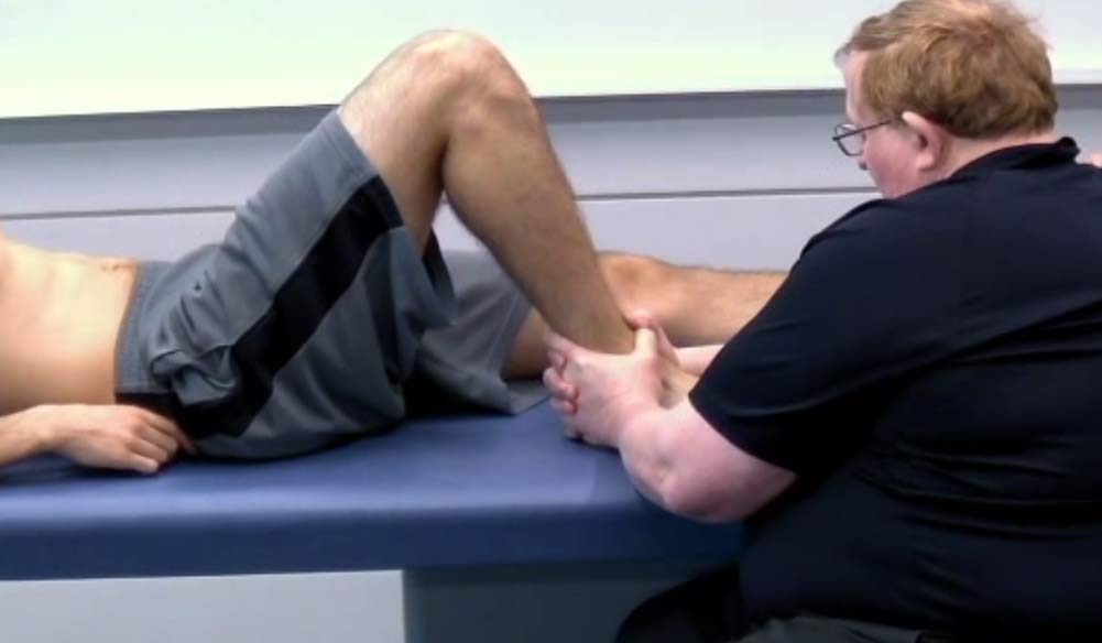 91. Anne Wales Talus Calcaneus