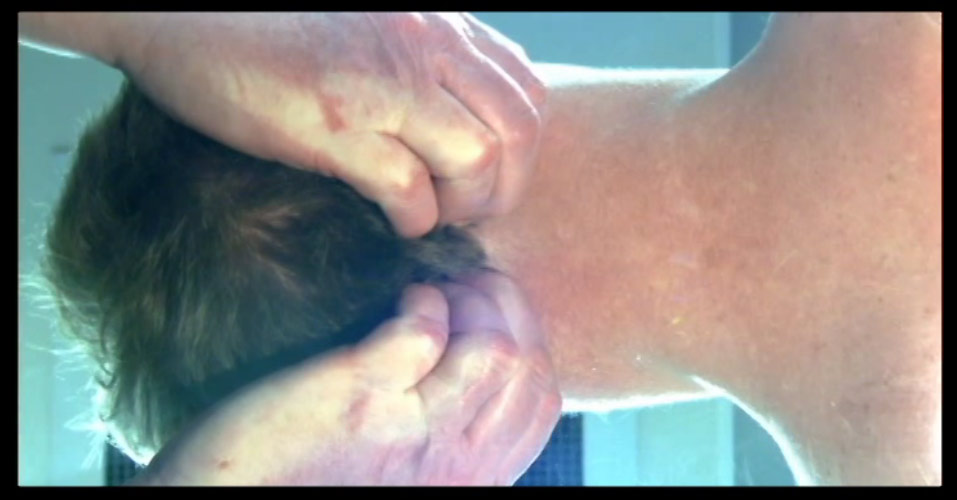 6. Anne Wales Base Spread